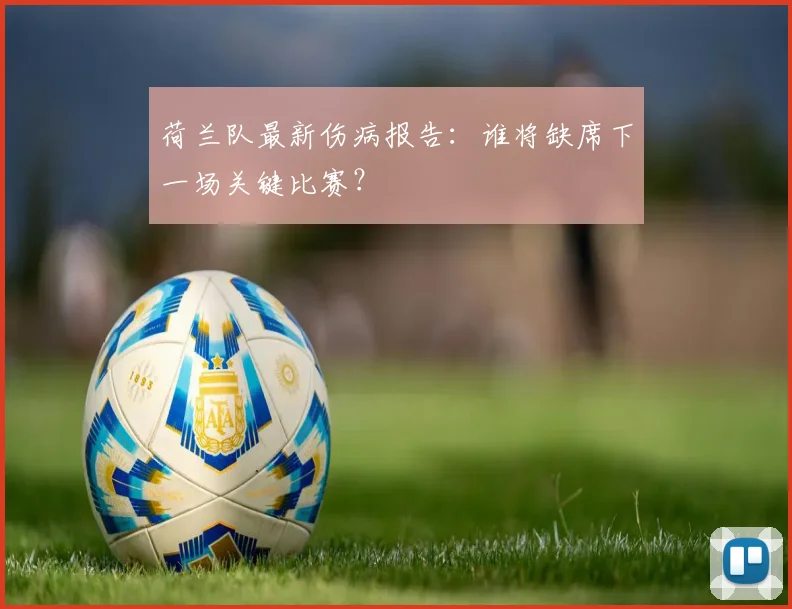 荷兰队最新伤病报告：谁将缺席下一场关键比赛？